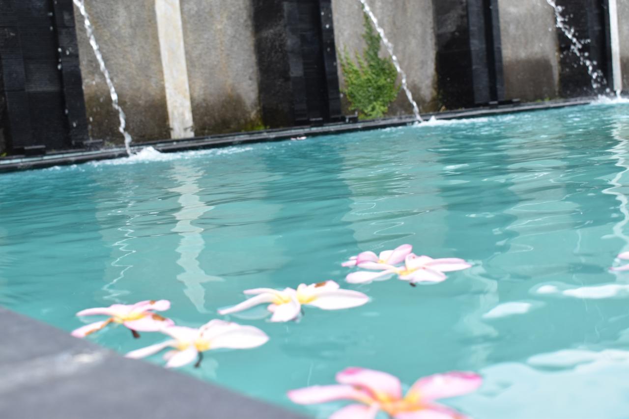 D Ajenk Boutique Guesthouse Yogyakarta Bagian luar foto